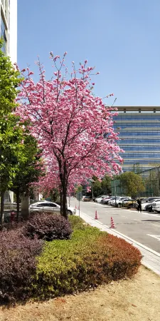 Kunming HNA Flight Hotel