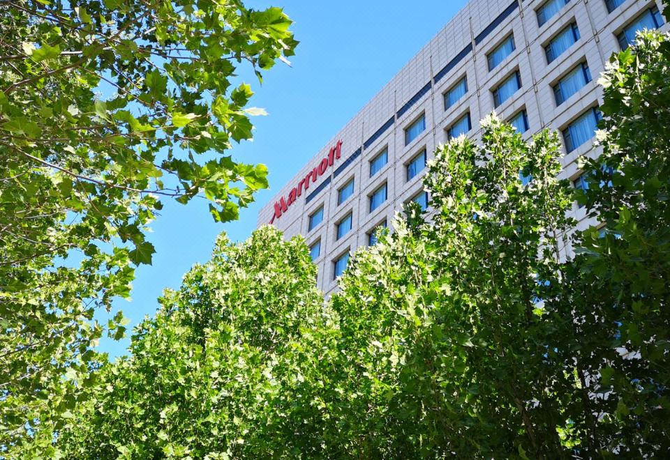 5. 더 레이크뷰 톈..