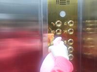 大洪山金钻酒店 - 豪华标准间