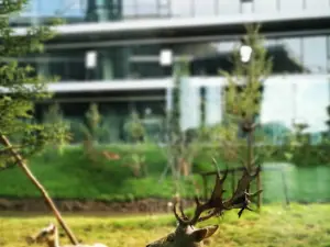 Popular Instagrammable Hotels in Fusong