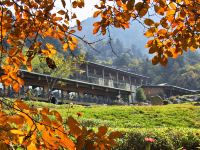 霍山大别山庄度假村 - 酒店外部