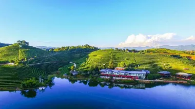 Yinsheng Tea Manor