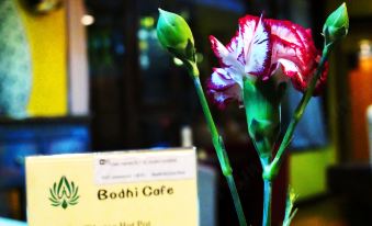 Shangri-La Moonlight City Bodhi Heart Retreat (Dukezong Old Town Branch)