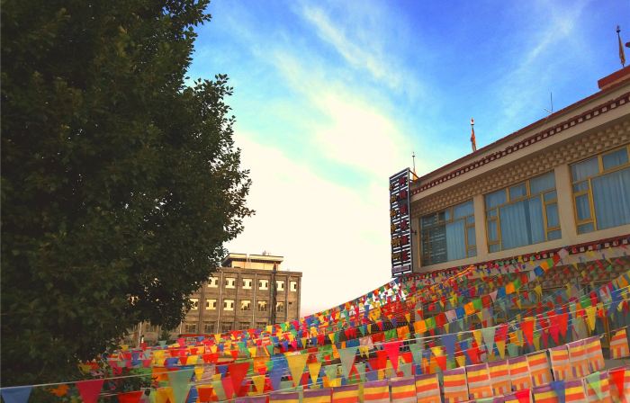 Aba Tibetan Style Hotel