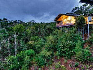 O'Reilly's Rainforest Retreat