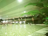 Tianxing Hot Spring Business Hotel - Pools