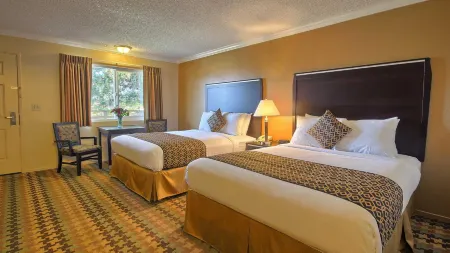 Silver Surf Motel Отели рядом с достопримечательностью «Friends Of The Elephant Seal»