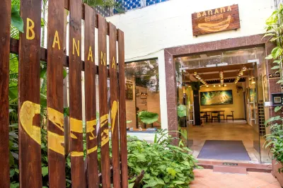 Banana International Youth Hostel Hotels in 