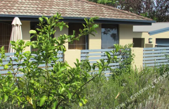 堪培拉博米樹酒店