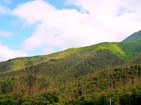 莫干山闲步庭下山庄