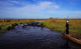 Wetland Camp (for Wildlife Lovers)