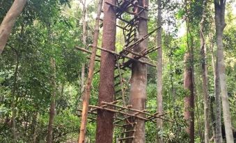 YAO Ah Staying on A Tree Homestay by Loka Local