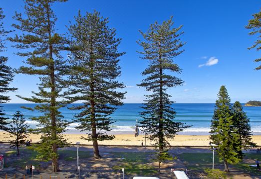 1. 맨리 파라다이스..