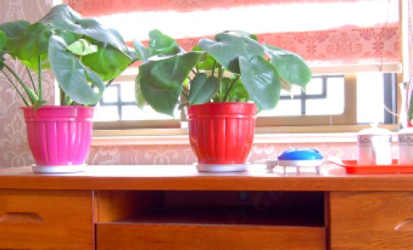 Wenyuan Guesthouse (Suzhou Su-style Garden Villa) - Housity