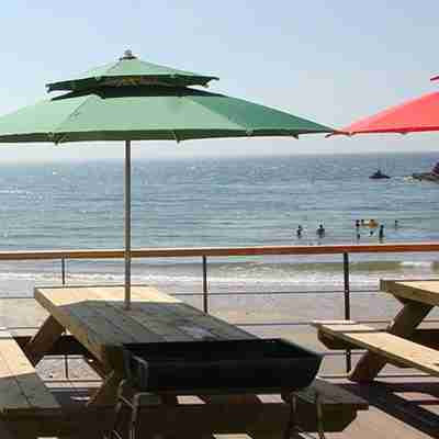 Blue Ocean Motel Taean Others