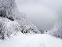 雪乡二浪河丛家家庭旅馆 - 酒店附近