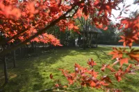 Yishan Lanruo Homestay 관광단지내 호텔