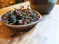 Floral Hotel · Guangdetang Hotel