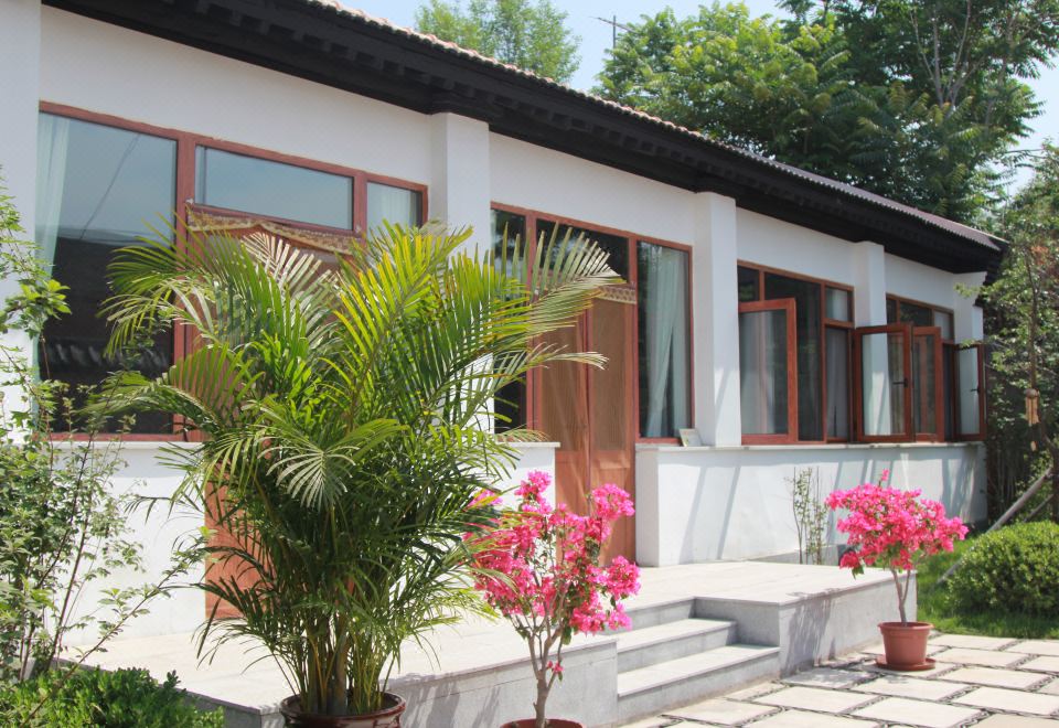 Tingqian Yuanhou Hostel 고양이