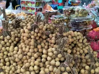 Sandy Serviced Apartment Hotels near Phranakhon Rajabhat University