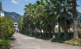 Wuyishan Yiyang Resort Hotel (Yinxiang Dahongpao)