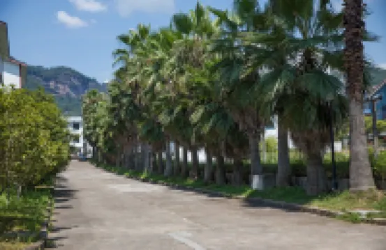 Wuyishan Yiyang Resort Hotel (Yinxiang Dahongpao)