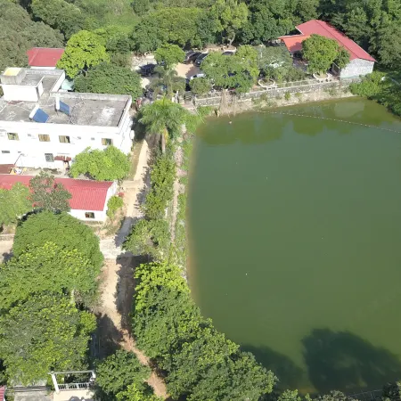 Modong Orchard Farmstay Boluo Luofu Moutain