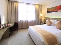 上海新园华美达广场酒店 - 高级大床房