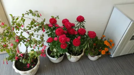 Zhalantun Xingfu Jiayuan Chinese Inn