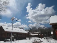 ChangBai Mountain Pine&Birch Villa Hotels near Changbai Mountain Volcanic Site Scenic Area