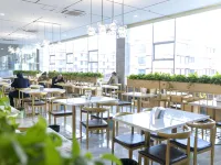 Shengkangwei Hotel Hotels in Jinxiang