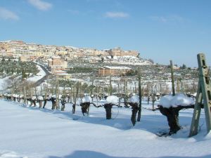 Hotel Cristallo - Chianciano Terme