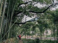 绍兴溪上山居客栈 - 酒店附近