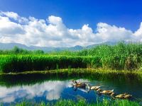 泸沽湖自然之然青年旅舍 - 酒店附近