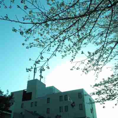 セントラルホテル鴨島 Hotel Exterior