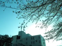 Central Hotel Kamojima