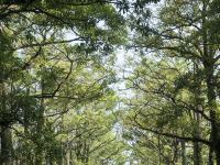 潮州上水门边客栈 - 阳光园景大床房
