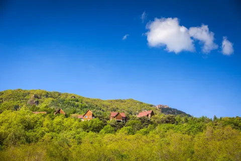 Forest Village Hotels and Resorts Beijing