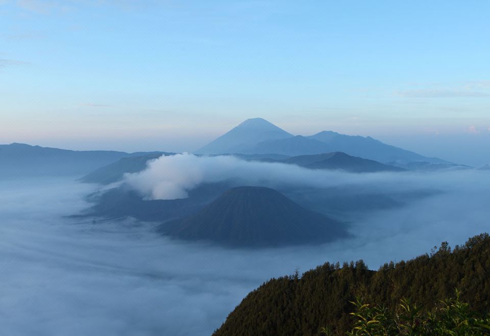 부미 수라바야 시티 리조트
