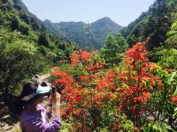 青田考坑古村曼山居度假民宿 - 酒店附近