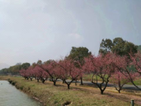湖州原乡酒店 - 酒店附近