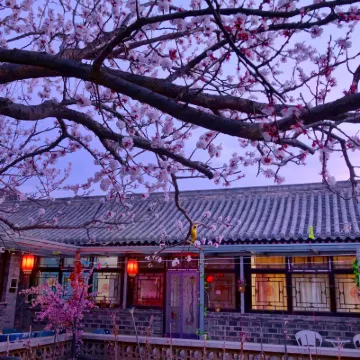 Beijing Badaling Great Wall Cao's Courtyard Hostel Hotels near Badaling Great Wall