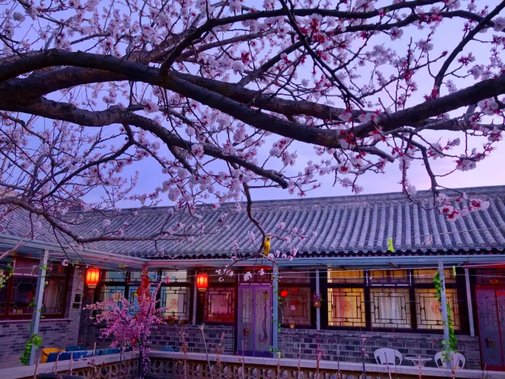 Beijing Badaling Great Wall Cao's Courtyard Hostel