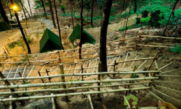 Bunjungle Adventures - Housity