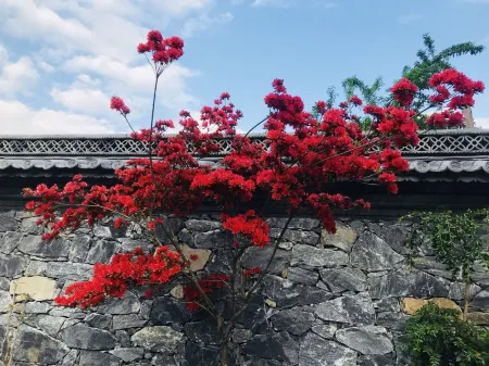 Weixi Baiguo Zeke Homestay Отели рядом с достопримечательностью «Damo Patriarch Cave»