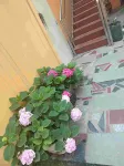 Zuoan Hotel - موقف سيارات
