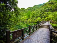 宁海森林温泉度假村 - 酒店附近