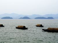 宁波顺湖安之居民宿