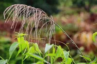 Sanlitang Inn Hongcun Village
