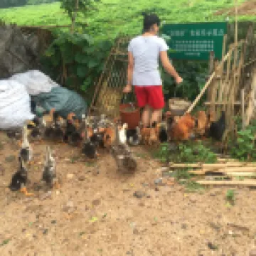 Tengxian Ruyi Farm Holiday House